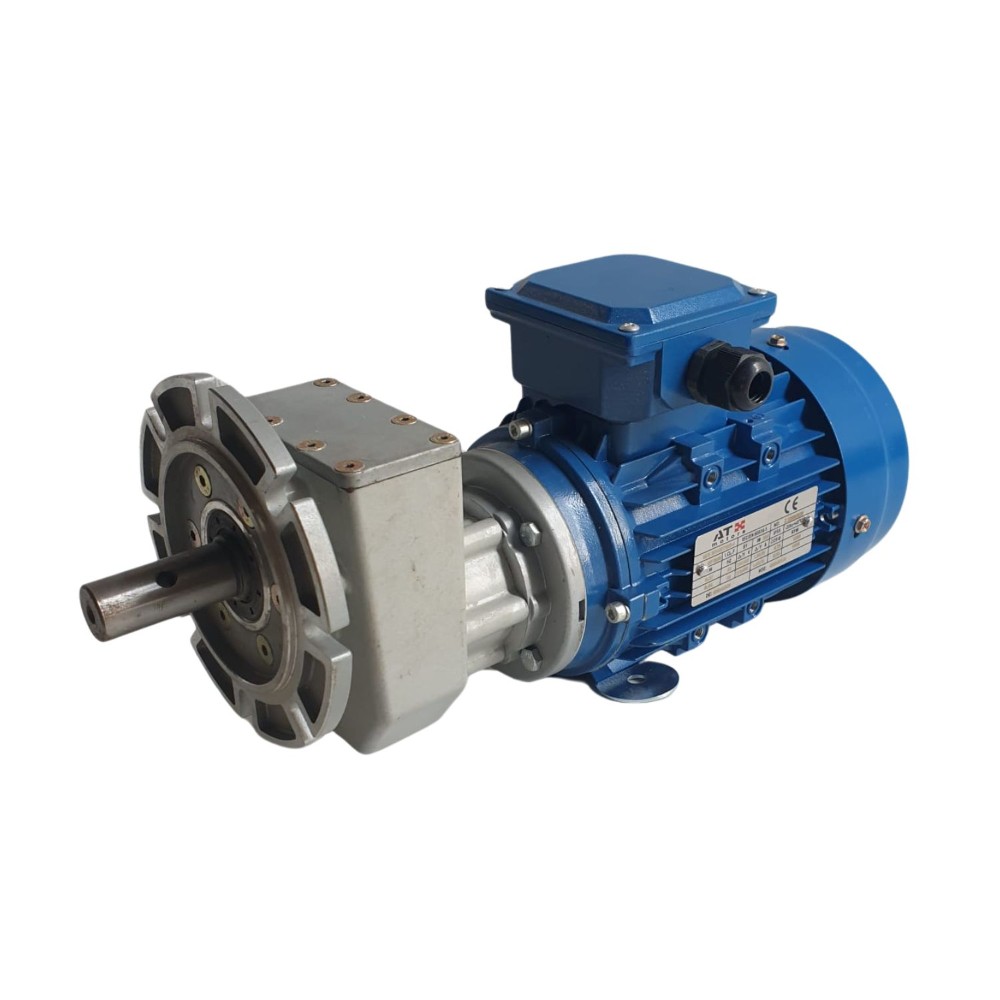 Motorreductor trifásico 3/4 CV 300 RPM 230/400 V